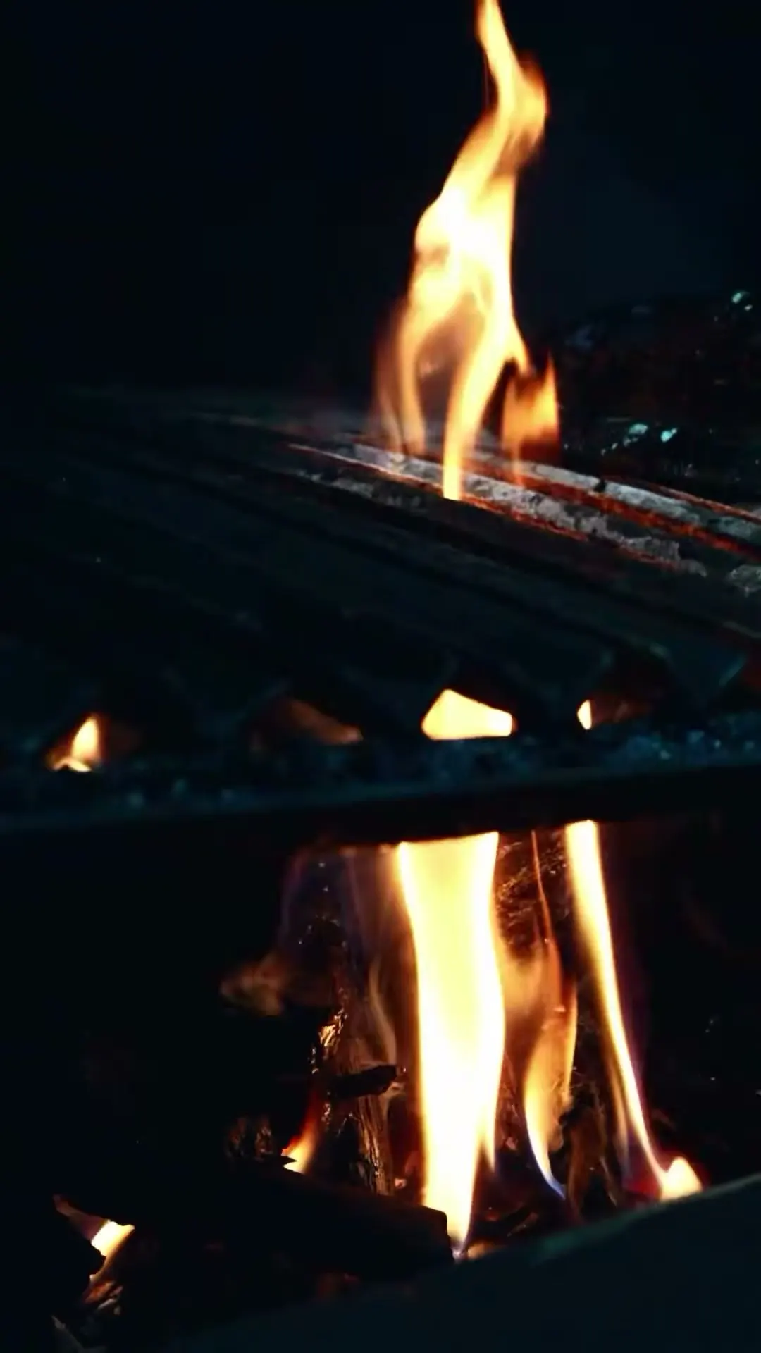 Llamas sobre las brasas de la parrilla de Brasanta